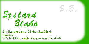 szilard blaho business card
